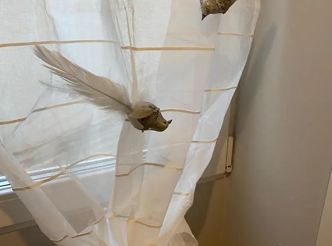 Precioso Y Centrico *